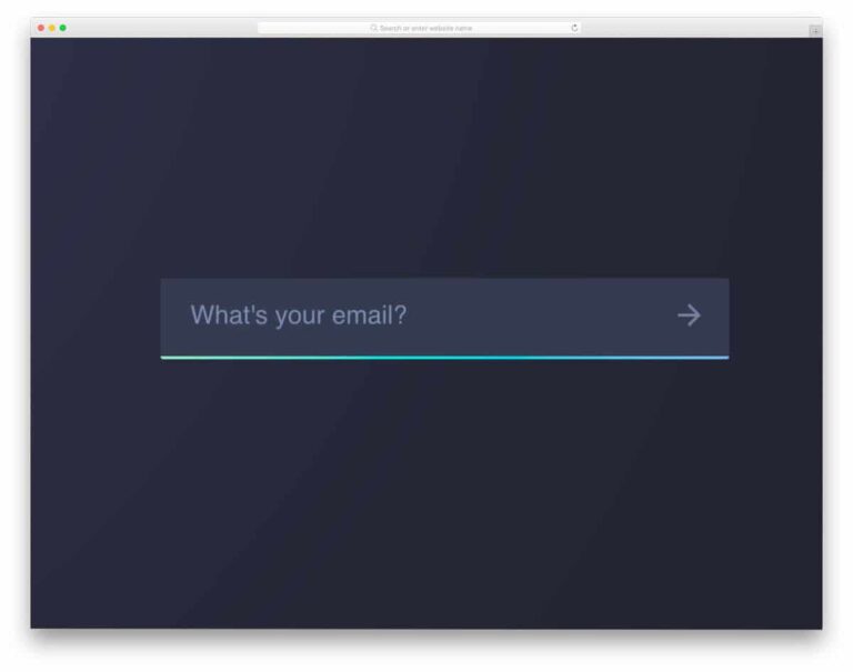 input with sign asks what's your email?