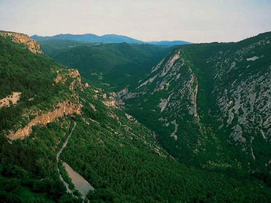 Dolina Rosandra