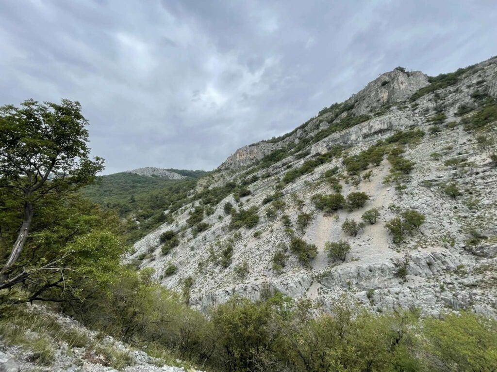 Dolina Rosandra